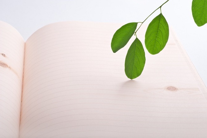 Woodpecker Notebooks by TALE in THISISPAPER MAGAZINE imgwdpk%207 Woodpecker Notebooks by TALE in THISISPAPER MAGAZINE