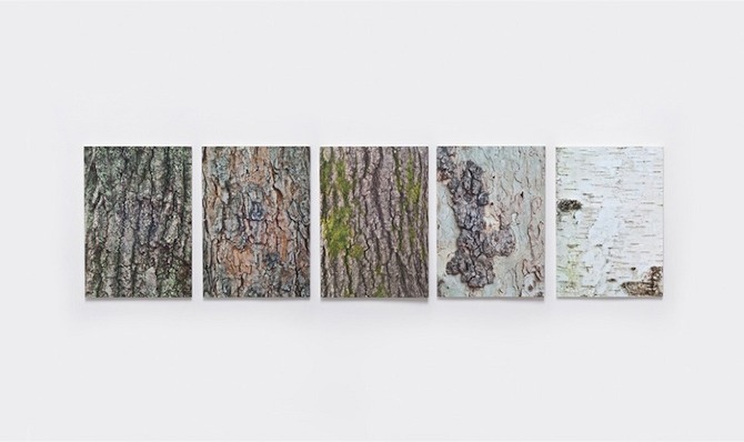 Woodpecker Notebooks by TALE in THISISPAPER MAGAZINE Woodpecker Notebooks by TALE in THISISPAPER MAGAZINE